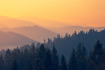 中医对胆的论述